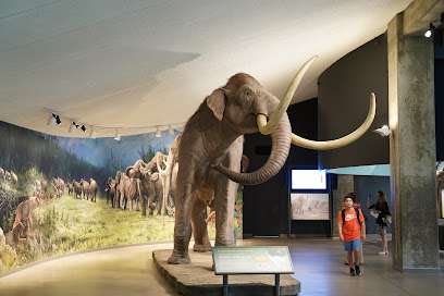 La Brea Tar Pits