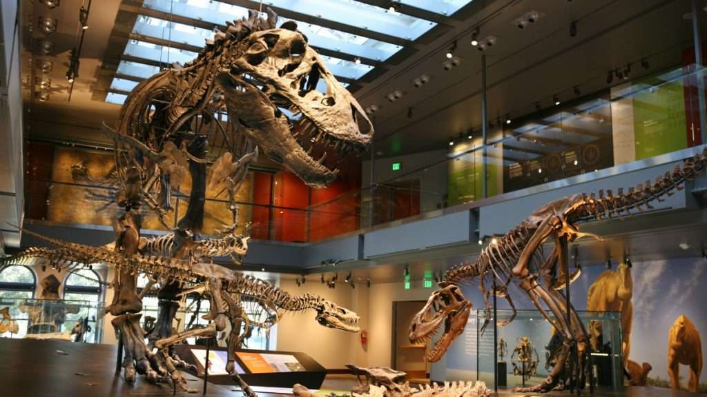Natural History Museum