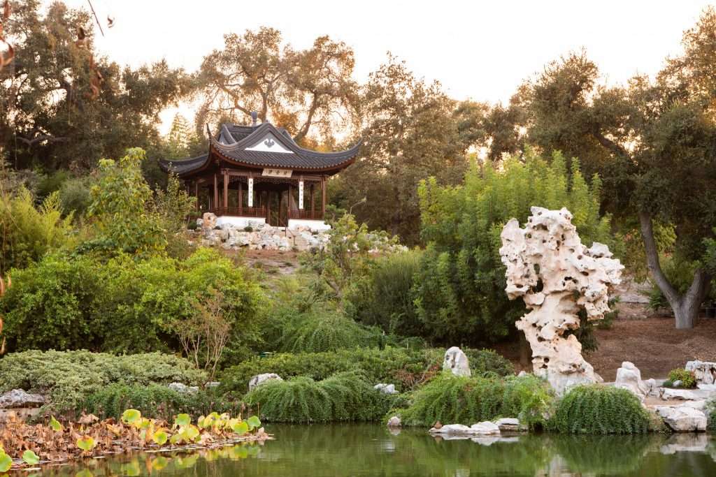 The Huntington Library and Botanical Gardens