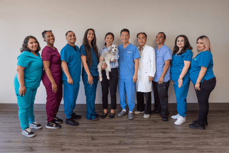 SoCal Neck & Back Injury Center, Lee Chiropractic Los Angeles California