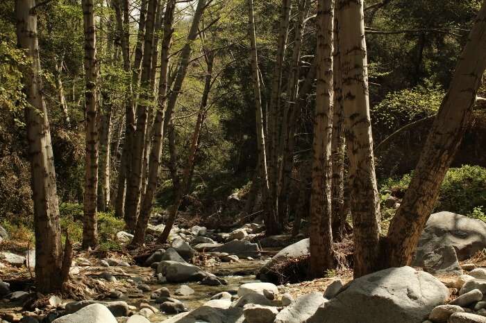 Angeles National Forest los angeles california